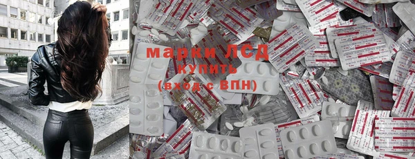 прущие грибы Липки