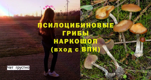 MESCALINE Лиски