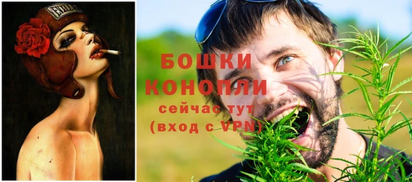 прущие грибы Липки