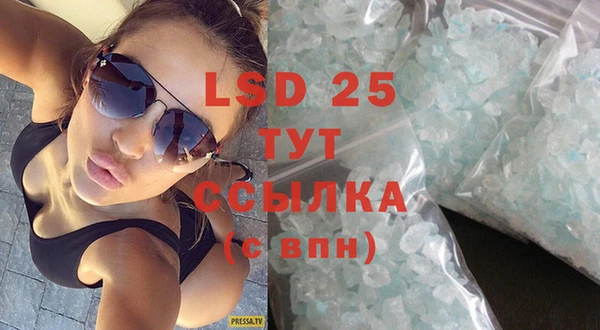 прущие грибы Липки