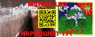 каннабис Дубна