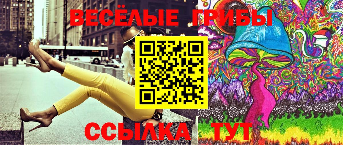 Псилоцибиновые грибы GOLDEN TEACHER Малоярославец