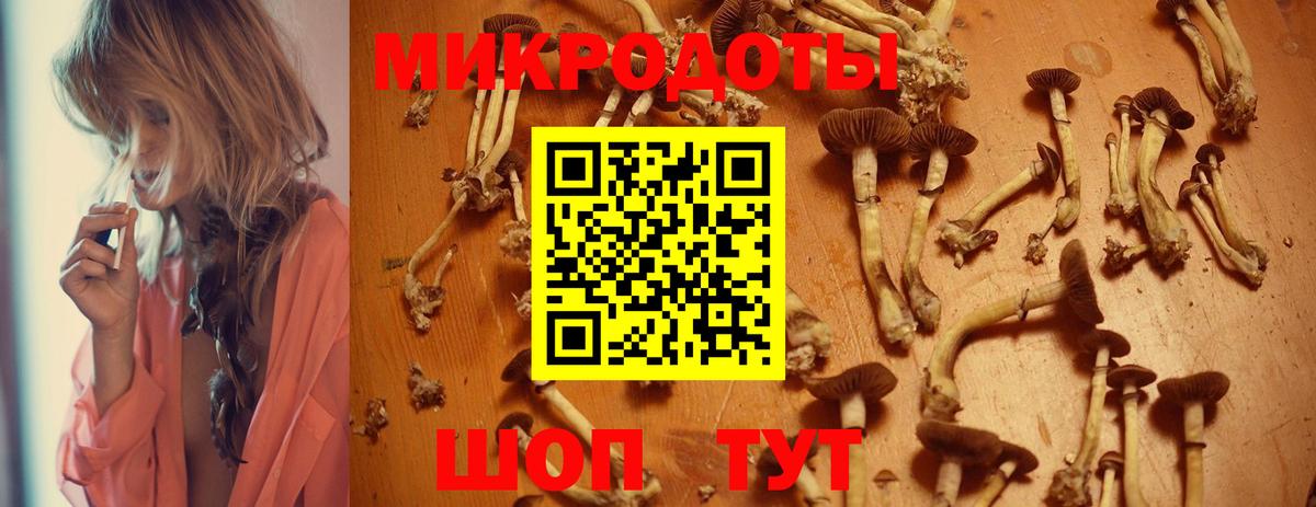 Псилоцибиновые грибы Psilocybine cubensis  купить наркотики сайты  Малоярославец 