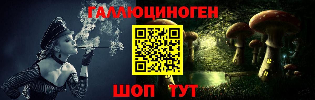 Псилоцибиновые грибы Cubensis Малоярославец