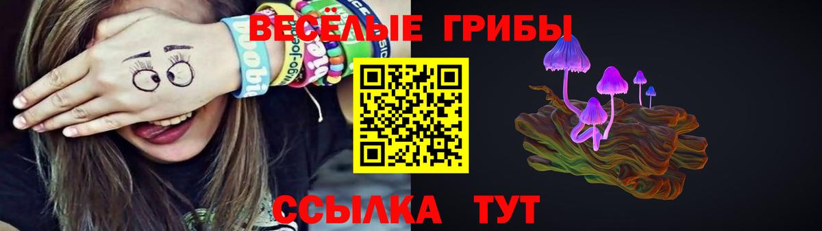 Малоярославец  закладка  Вход с VPN  Галлюциногенные грибы мицелий 