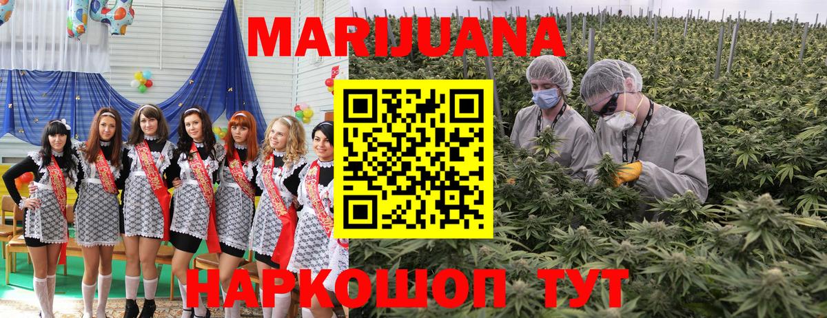 Канабис планчик Малоярославец